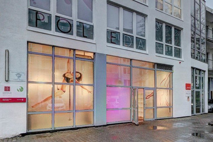 Bild 2 von POLEDANCE NRW Partnergalerie