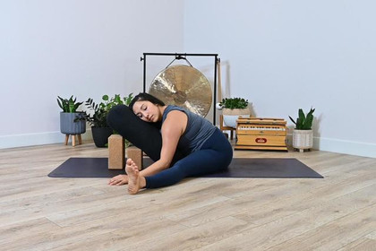 Image 5 from My Vinyasa Practice partner gallery