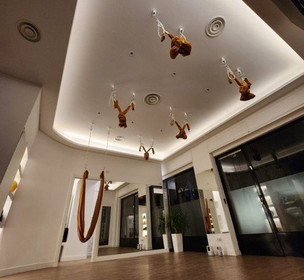 Immagine 6 dalla galleria del partner Elev8