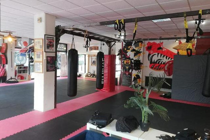 Imagen 1 de la galería del partner El Dojo - Escuela De Artes Marciales Madrid