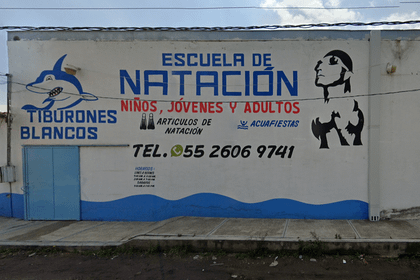 Imagen 2 de la galería del partner Tiburones Blancos Ixtapaluca