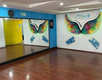 Imagen 3 de la galería del partner Collage Dance Studio