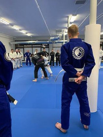 Image 5 from Renzo Gracie Chicago partner gallery