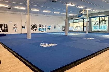 Image 1 from Renzo Gracie Chicago partner gallery