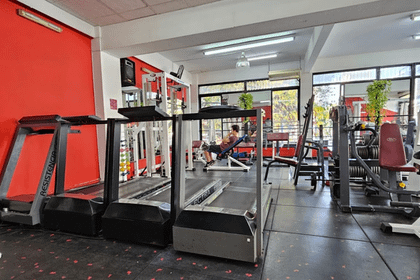 Imagen 5 de la galería del partner Gimnasio Press