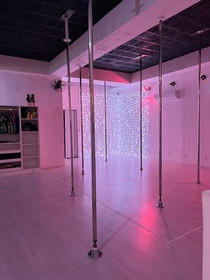 Imagem 8 da galeria do parceiro MAC POLE STUDIO