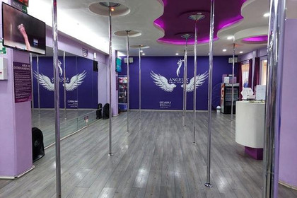 Imagen 5 de la galería del partner Angel's Pole Fitness