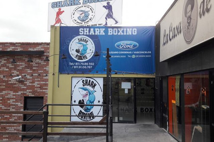 Imagen 2 de la galería del partner Shark Boxing Club