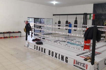 Imagen 3 de la galería del partner Shark Boxing Club