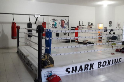Imagen 4 de la galería del partner Shark Boxing Club