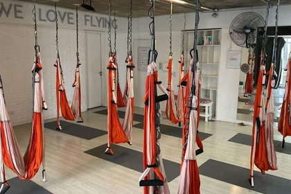 Imagen 2 de la galería del partner Rakhi Aeroyoga