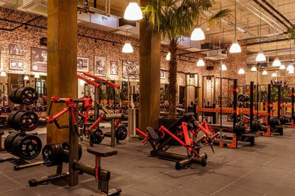 Bild 4 von Gold's Gym Jena Partnergalerie