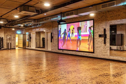 Bild 6 von Gold's Gym Jena Partnergalerie