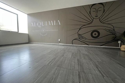 Imagen 1 de la galería del partner Alquimia Healing Center