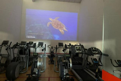 Imagen 4 de la galería del partner Venus Fitness