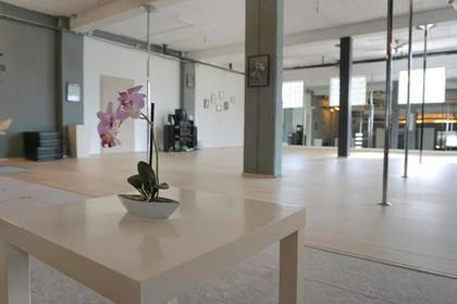 Bild 1 von Pole Dance Studio Rhein-Neckar Partnergalerie