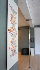 Bild 4 von Pole Dance Studio Rhein-Neckar Partnergalerie