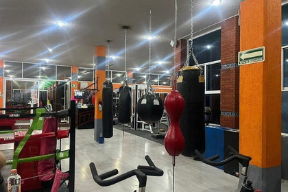 Imagen 8 de la galería del partner Gym Mania