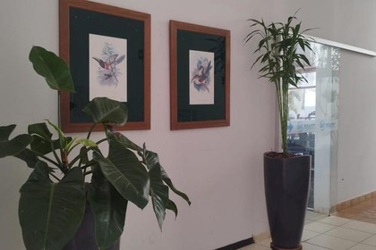 Imagem 3 da galeria do parceiro Soulfit - Iturama