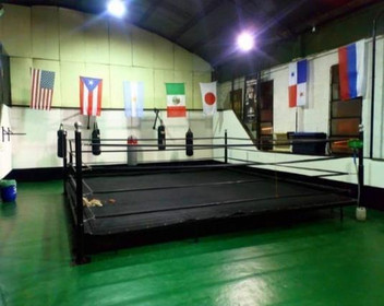 Imagen 3 de la galería del partner Deportivo Box