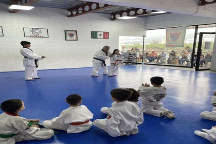 Imagen 1 de la galería del partner Ganesha Taekwondo