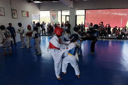Imagen 3 de la galería del partner Ganesha Taekwondo