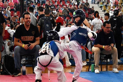 Imagen 5 de la galería del partner Ganesha Taekwondo