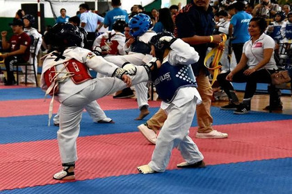 Imagen 4 de la galería del partner Ganesha Taekwondo