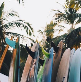 Imagem 5 da galeria do parceiro Surf's Up Club Laika Hostel