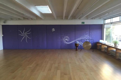 Imagen 3 de la galería del partner Soham Yoga