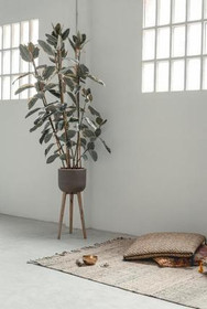 Imagen 6 de la galería del partner Ma·na Sant Just