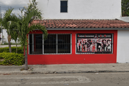 Imagen 2 de la galería del partner Academia Internacional de Artes Marciales