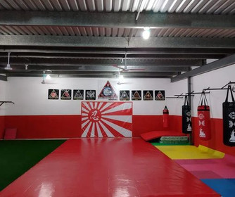 Imagen 3 de la galería del partner Academia Internacional de Artes Marciales