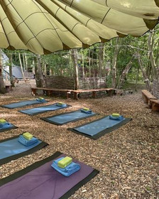 Image 1 from Cockley Woodland Wellness partner gallery