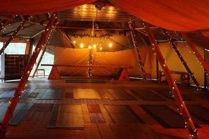 Image 2 from Cockley Woodland Wellness partner gallery