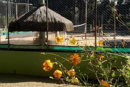 Imagem 6 da galeria do parceiro Arena Club Racket