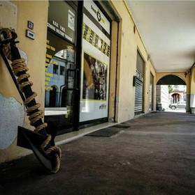 Immagine 5 dalla galleria del partner Green Zone