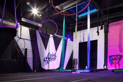 Image 8 from Aerial Arts of Rochester partner gallery
