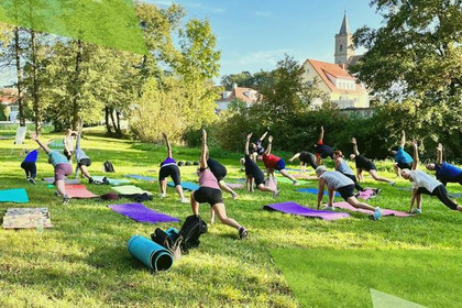 Bild 2 von fitcamp Würzburg Partnergalerie