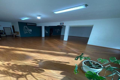 Imagen 7 de la galería del partner Shanti Yoga