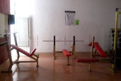 Imagen 5 de la galería del partner Iron Gym Caucel