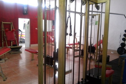 Imagen 6 de la galería del partner Iron Gym Caucel
