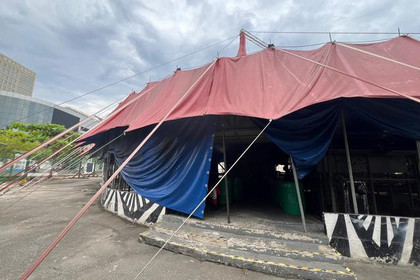 Imagem 2 da galeria do parceiro Circo Crescer e Viver