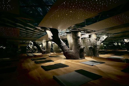 Imagen 1 de la galería del partner Amo Verte Studio