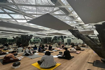 Imagen 6 de la galería del partner Amo Verte Studio