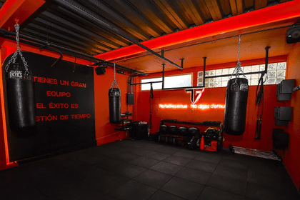 Imagen 2 de la galería del partner The Gang Fitness House Satélite
