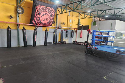 Imagem 5 da galeria do parceiro Team Miltão Fight