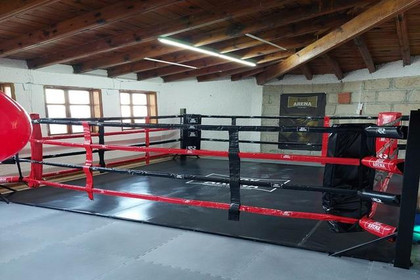 Imagen 4 de la galería del partner Box Arena Corregidora