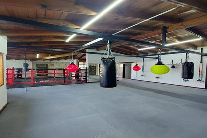 Imagen 5 de la galería del partner Box Arena Corregidora