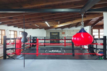 Imagen 6 de la galería del partner Box Arena Corregidora